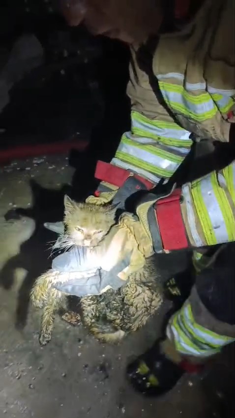 Whatsapp Video 2026 01 20 At 10.20.23.Mp4 Snapshot 00.12.705