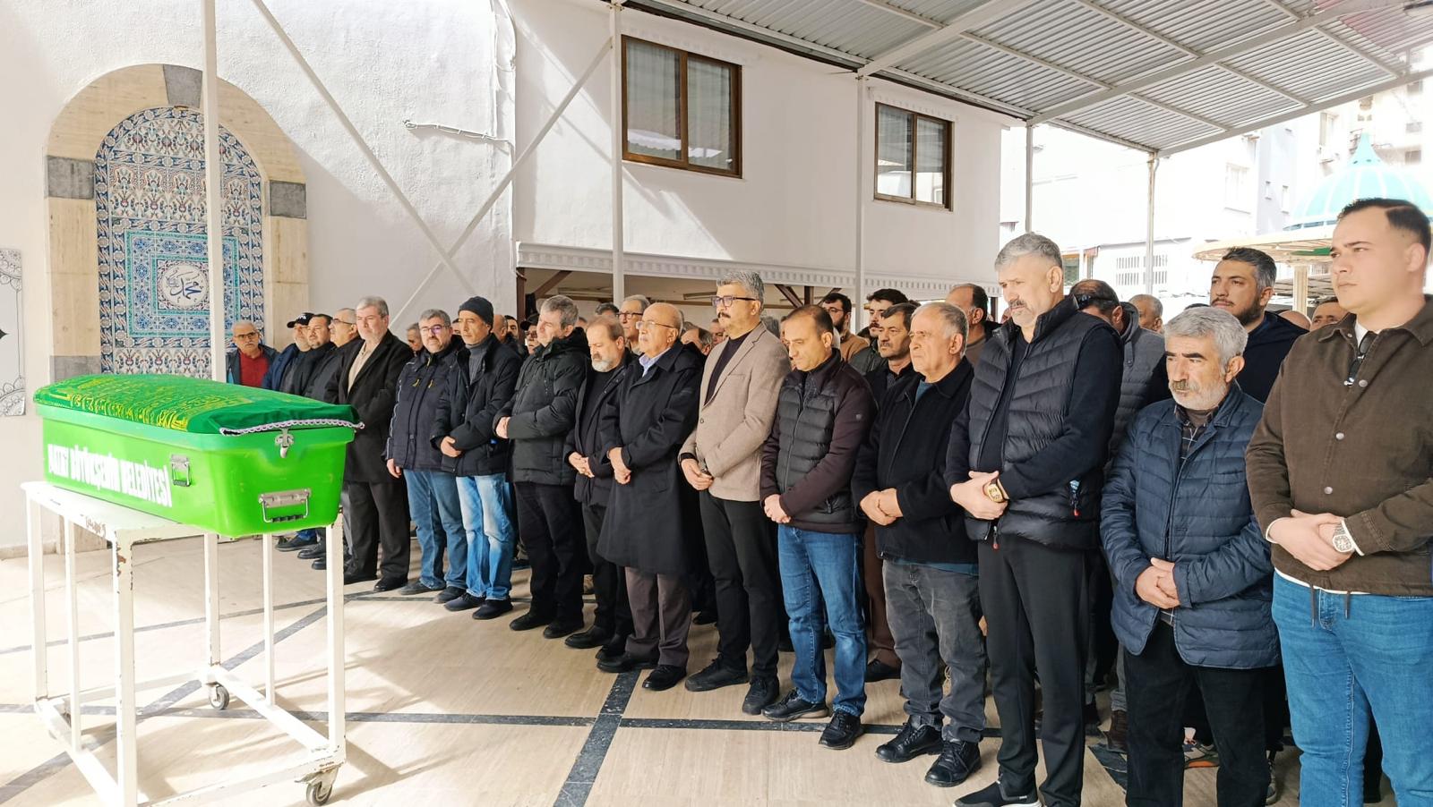 I M G 20260201 W A0005