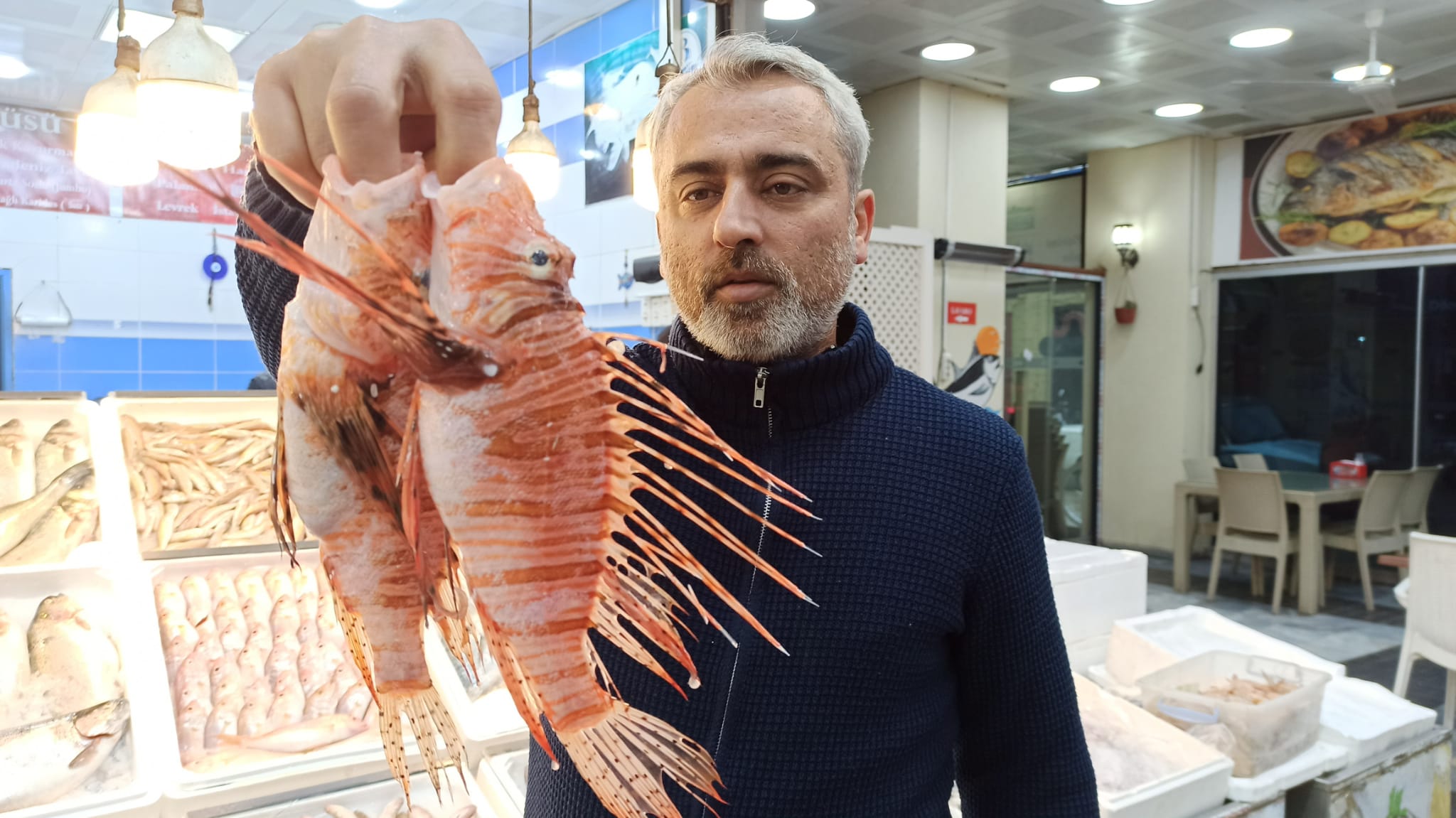 4322082A D6D2 4A6F Bc7A D1B9A45C0A21