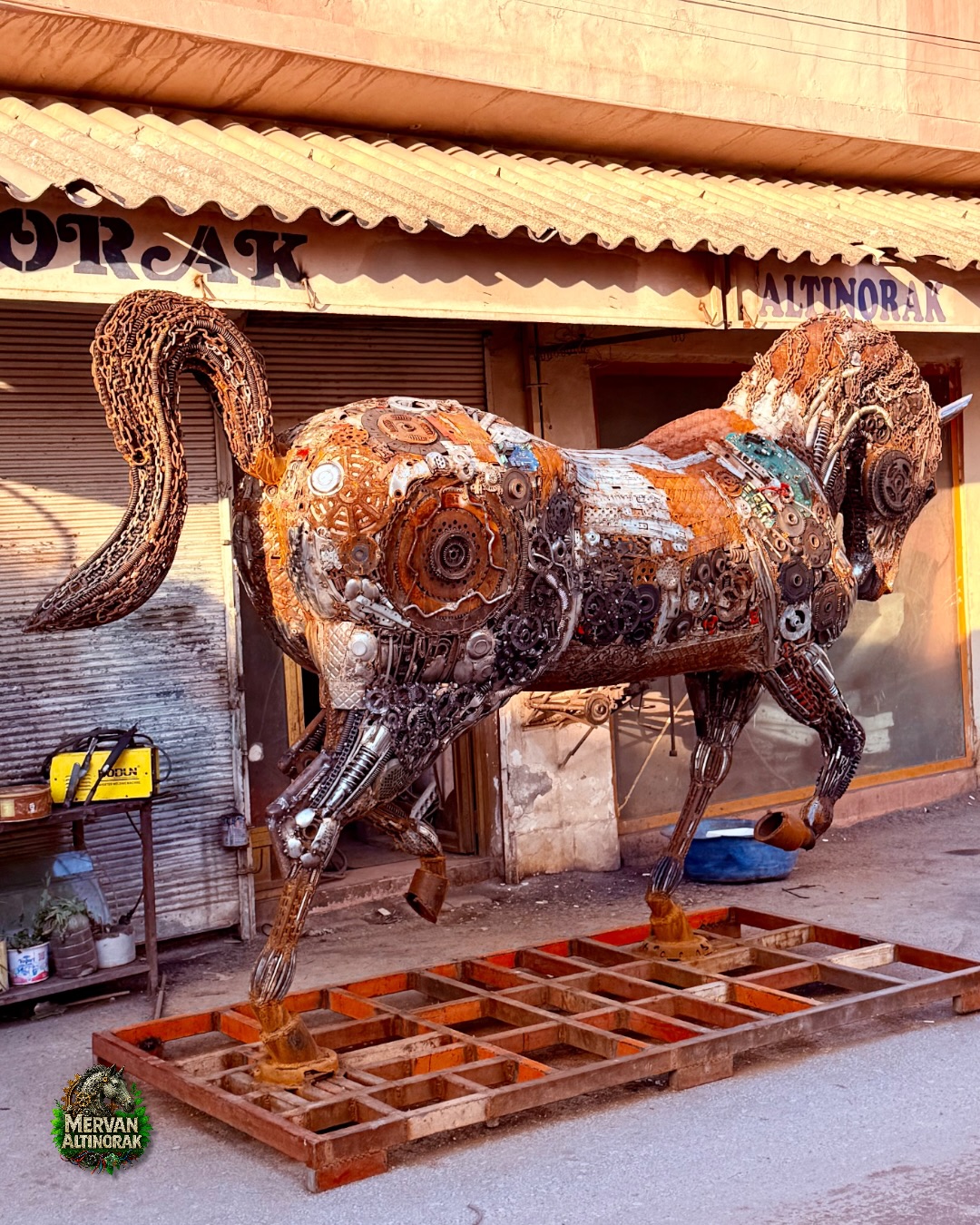 617593435 18071765852629367 7024604948644892046 N