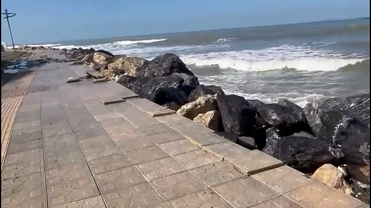 Arsutda Deniz Tasti (1)