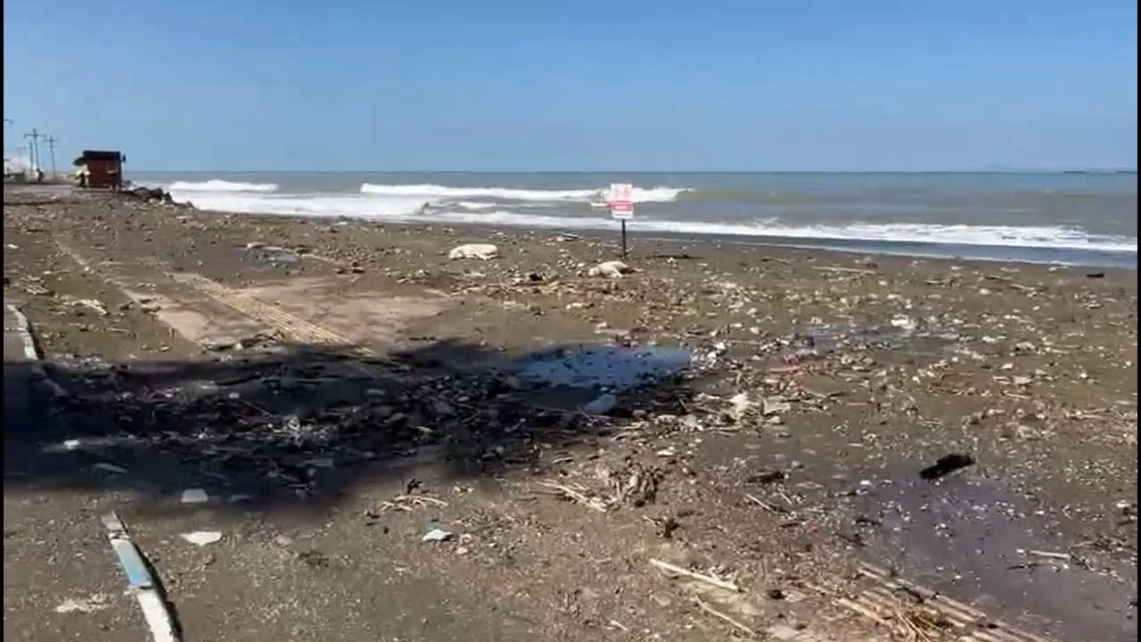 Arsutda Deniz Tasti (11)