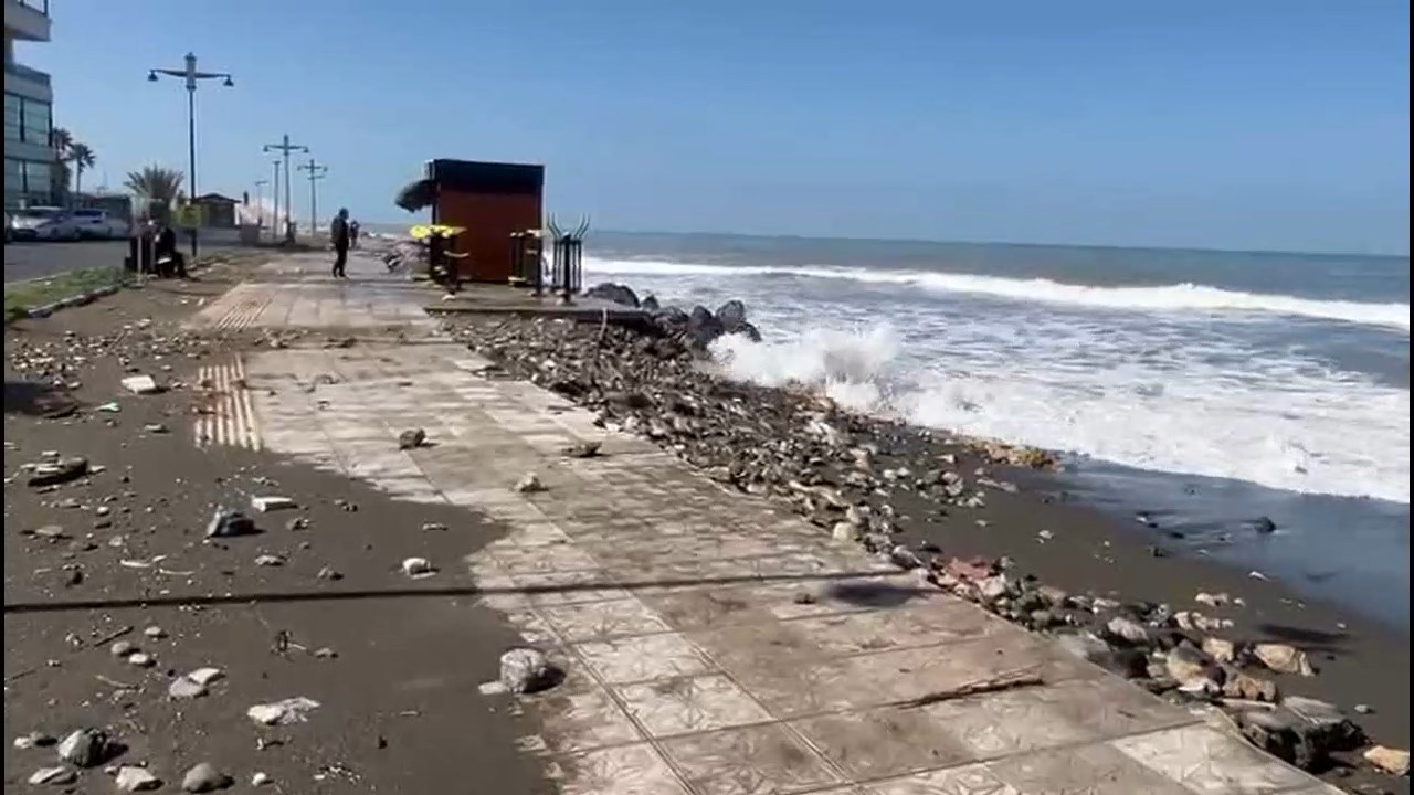 Arsutda Deniz Tasti (13)