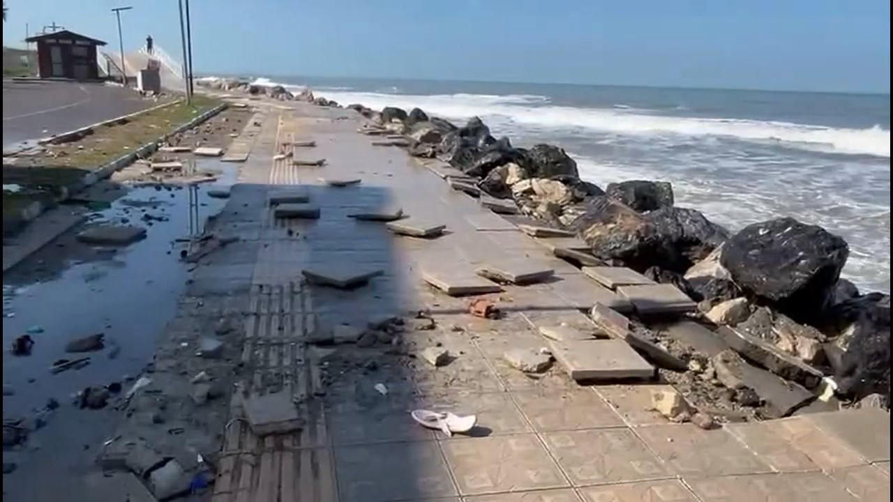 Arsutda Deniz Tasti (3)