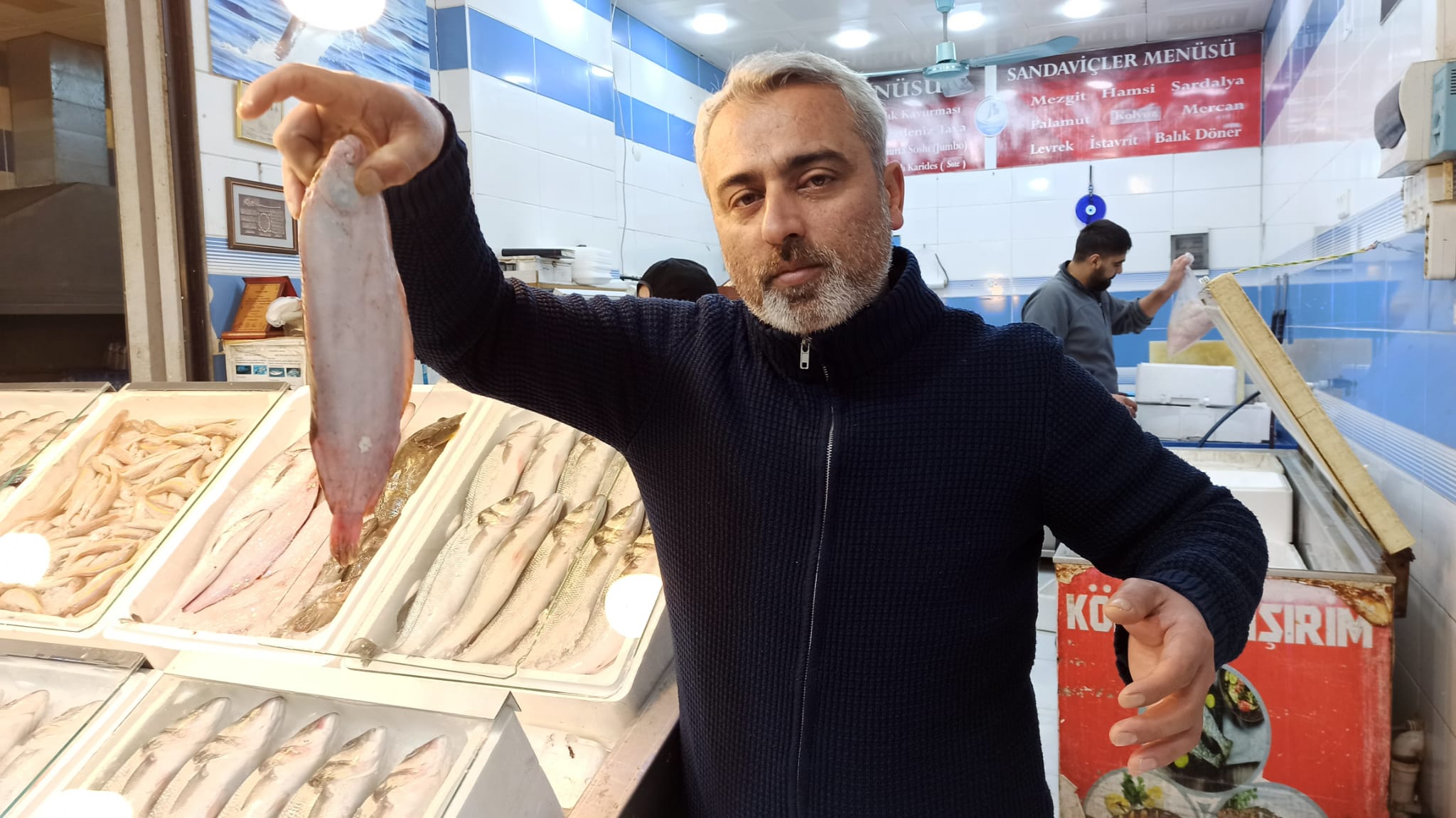 Balik Cesitliligi (2)