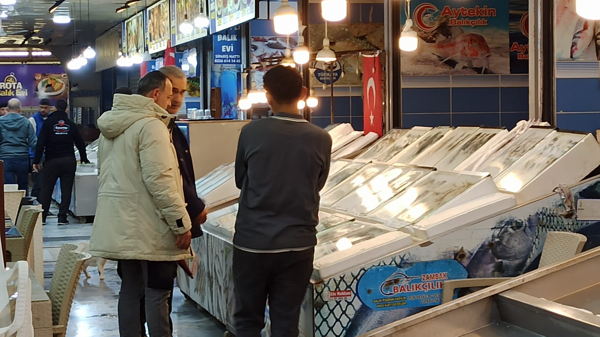 Balik Cesitliligi (4)