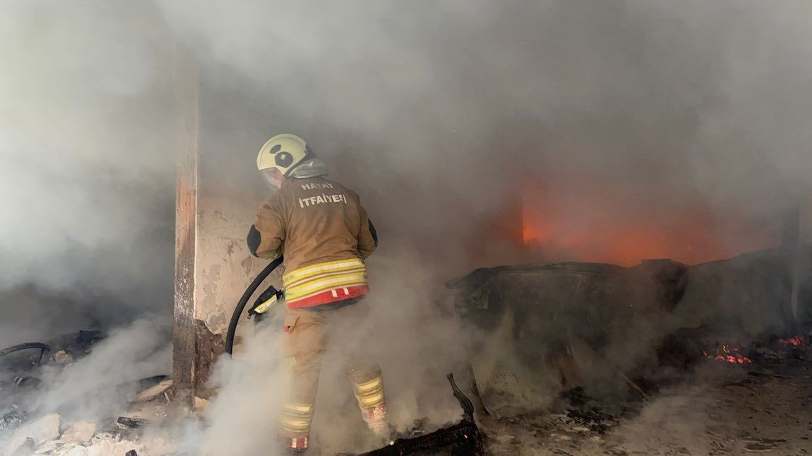 Bos Bina Yangini (2)