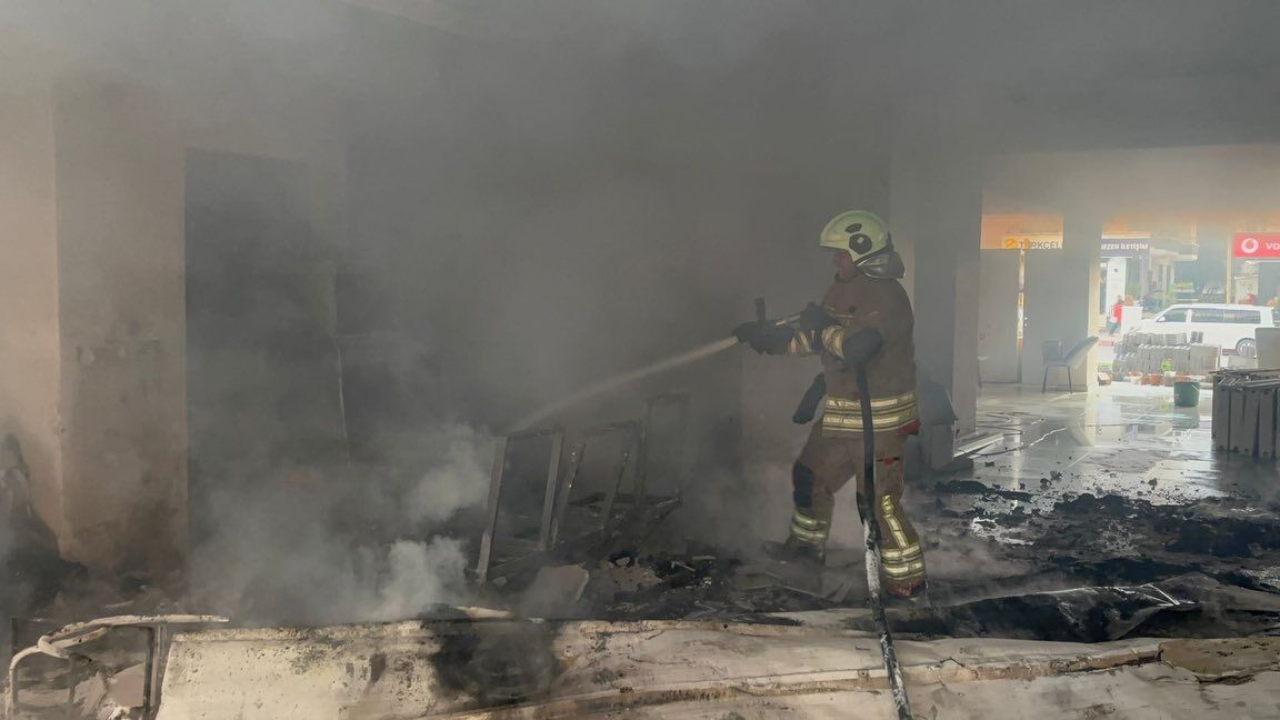 Bos Bina Yangini (3)