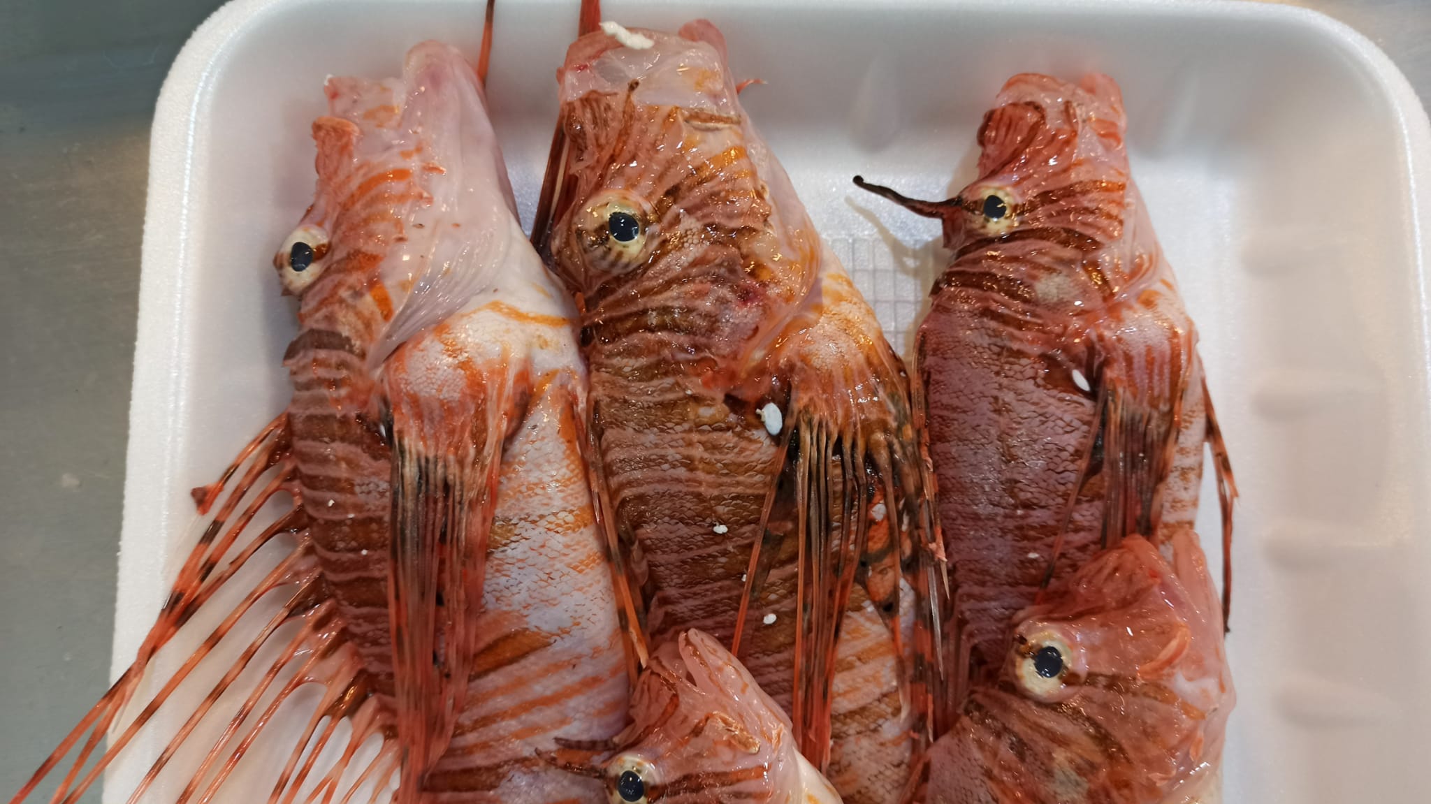 Fb7D7D50 8D42 4507 A95B 5D8622E396Ba