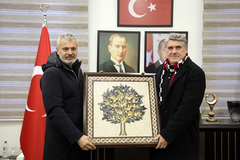 I M G 20260206 W A0228