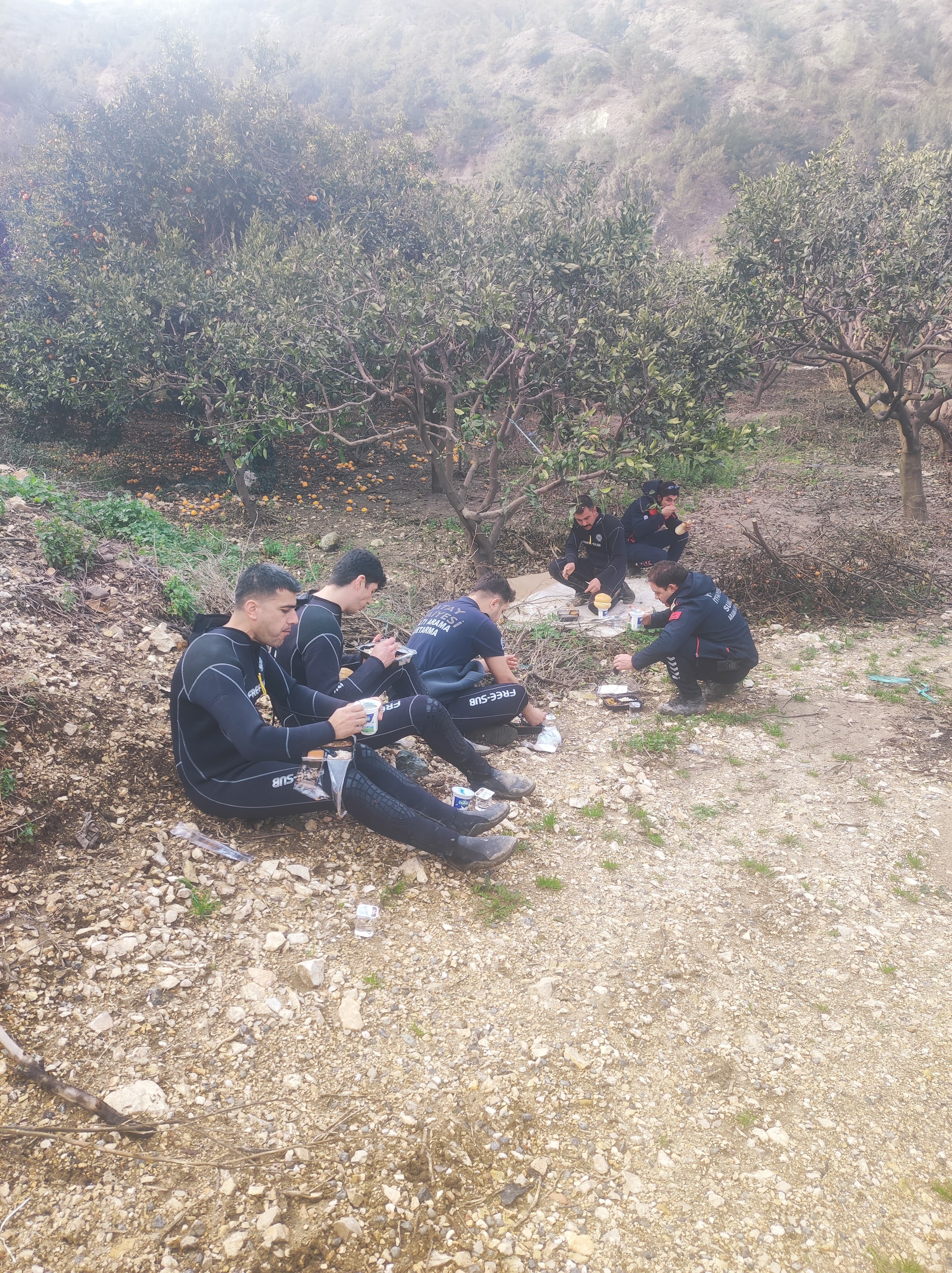 I M G 20260206 W A0310