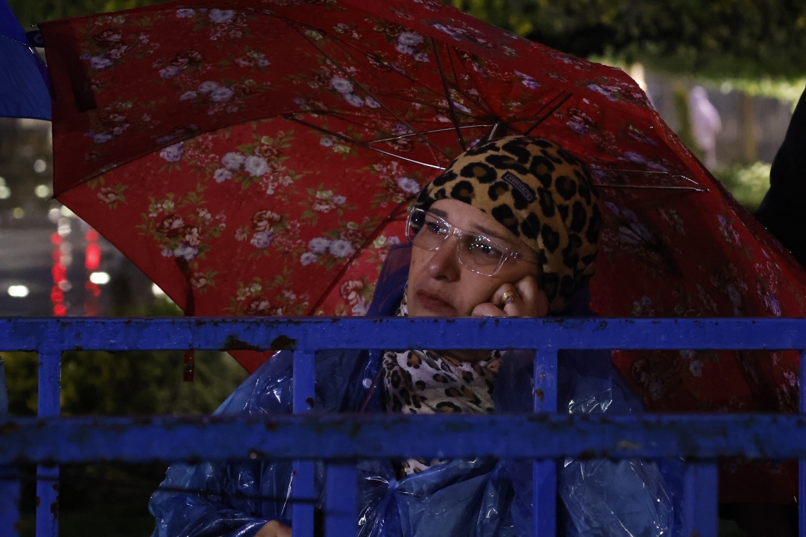 I M G 20260206 W A0340