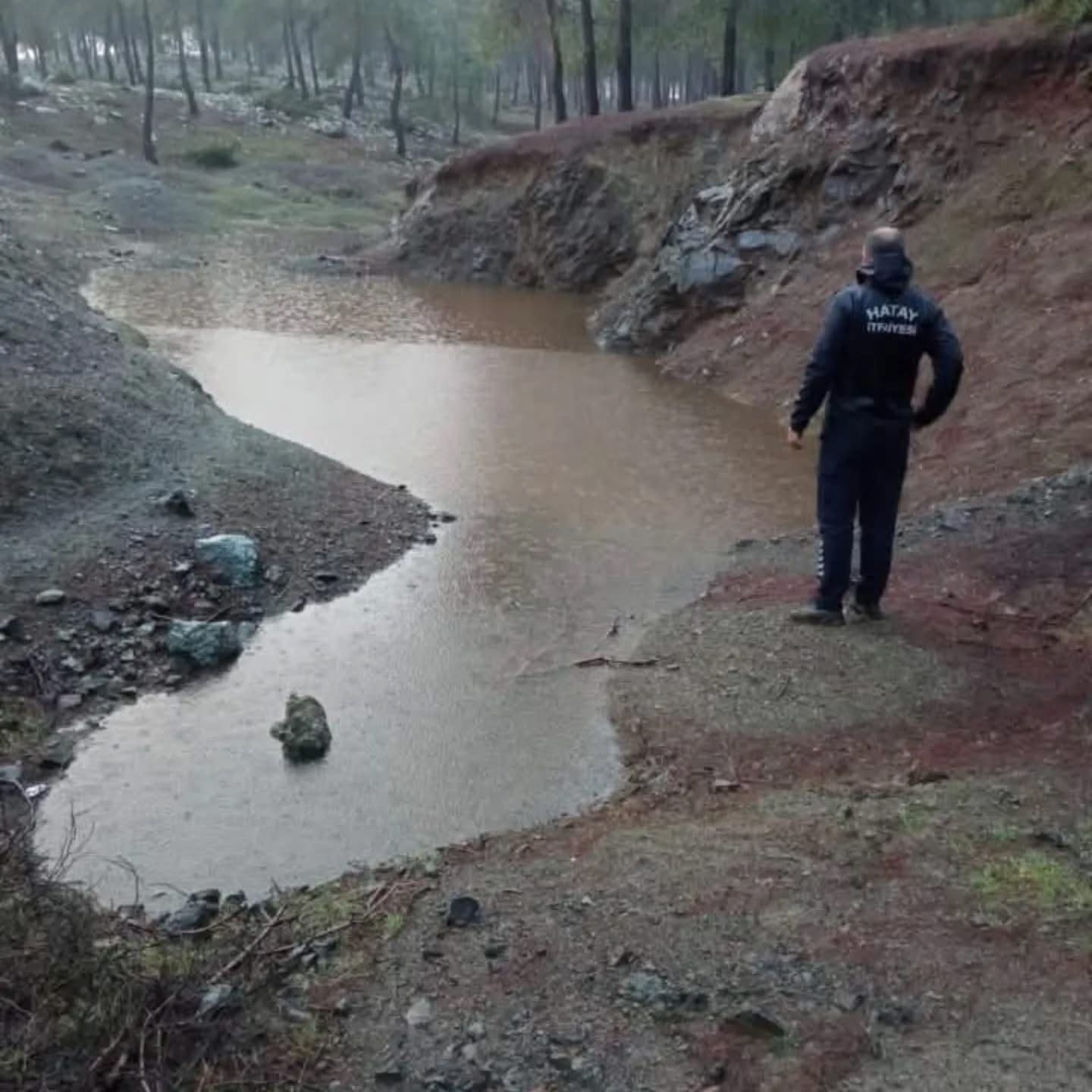 I M G 20260214 W A0154