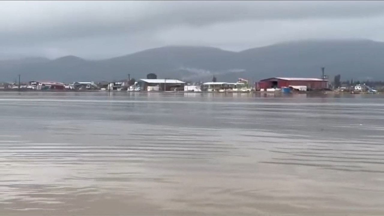 Mehmet Guzelmansur.mp4 Snapshot 00.31.782