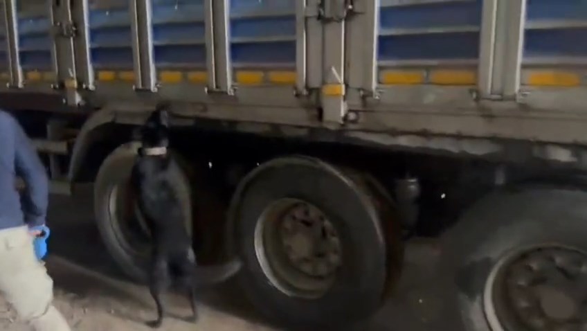 Payas Yasakli Madde (1)