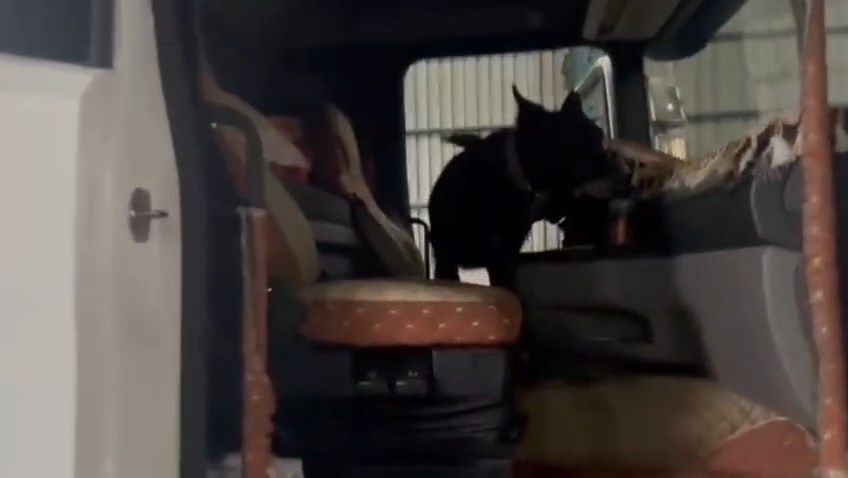 Payas Yasakli Madde (2)