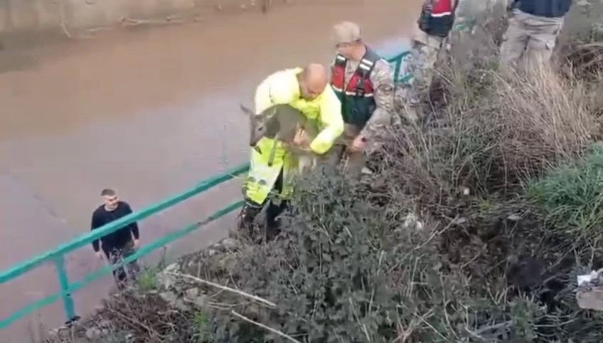 Whatsapp Video 2026 02 17 At 09.47.02.Mp4 Snapshot 00.10.550