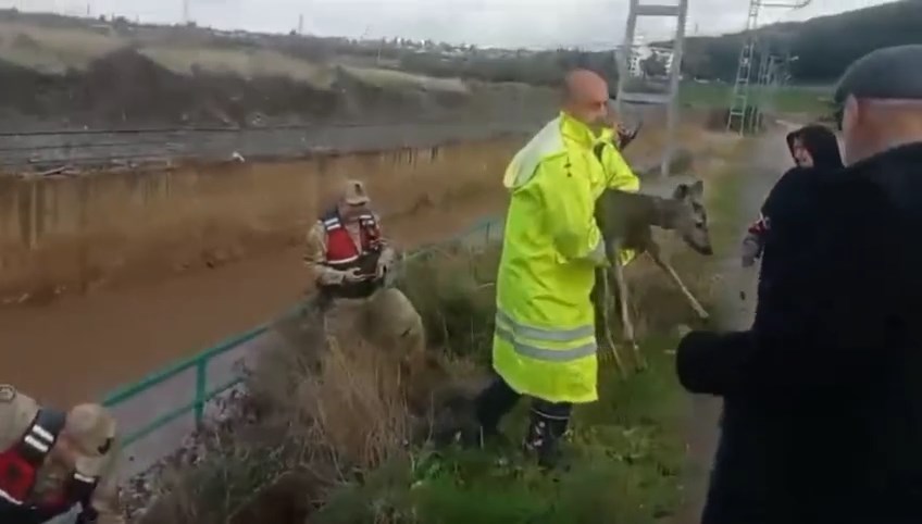 Whatsapp Video 2026 02 17 At 09.47.02.Mp4 Snapshot 00.17.604