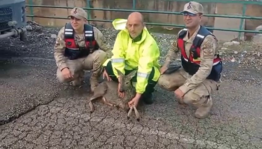 Whatsapp Video 2026 02 17 At 09.47.02.Mp4 Snapshot 01.49.187