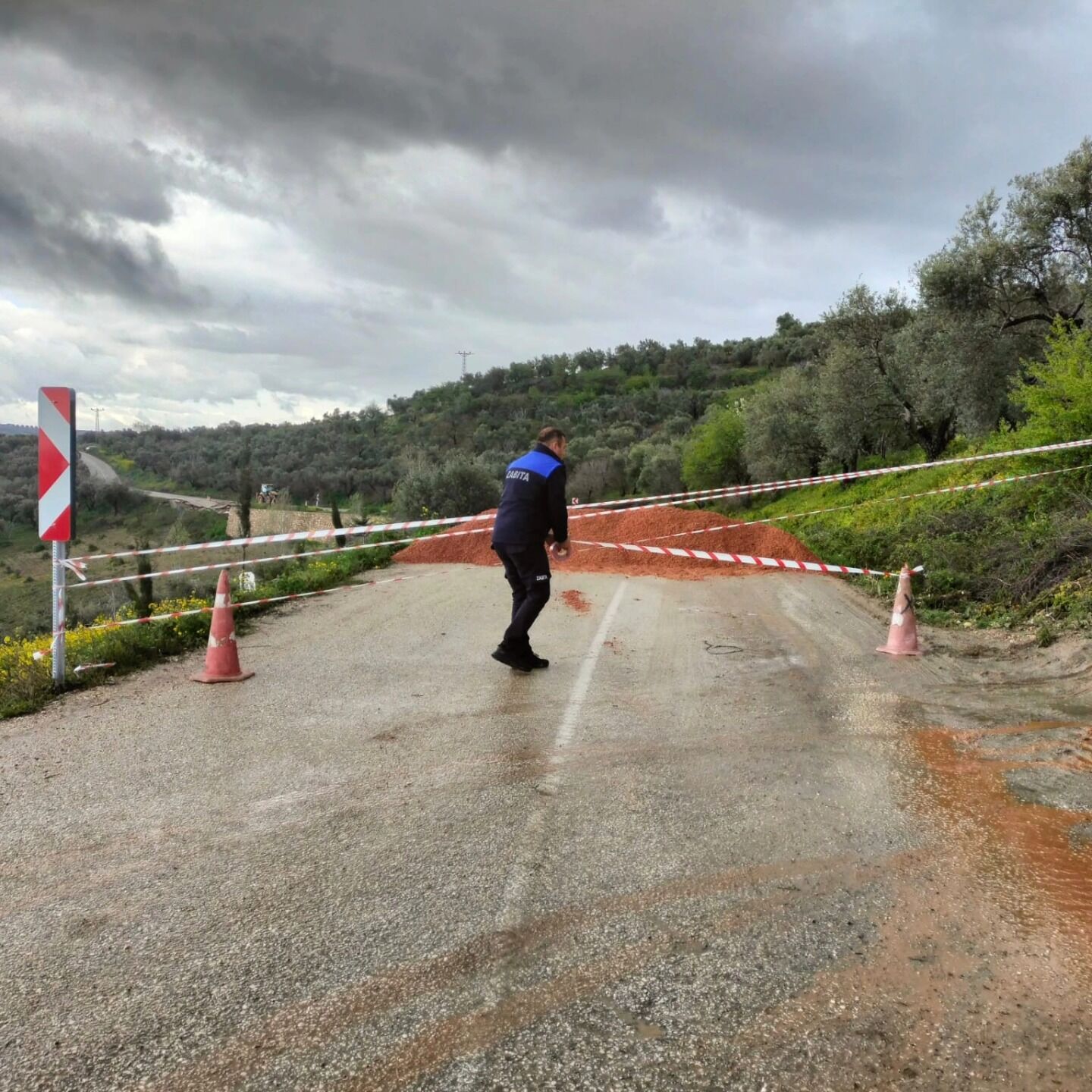 654697596 1513320800159357 3178151248561972539 N