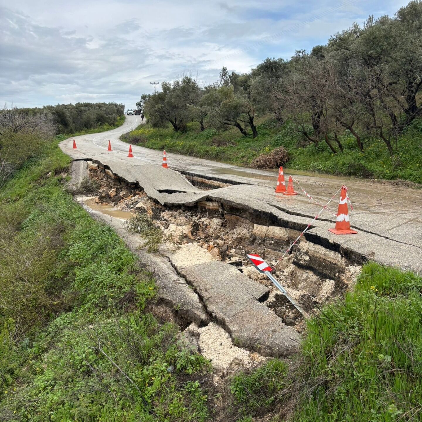 656047342 1513320796826024 5407363205490233015 N