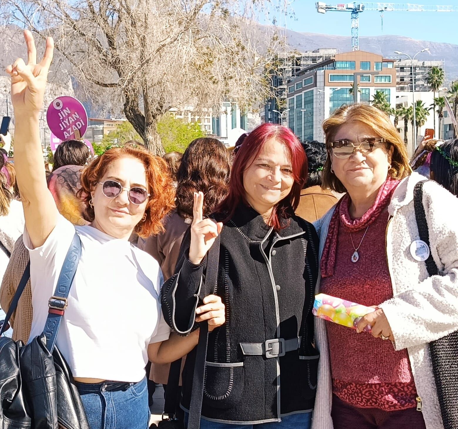 C4319Aaf 2E8D 4C2C 8C19 A25733D01455