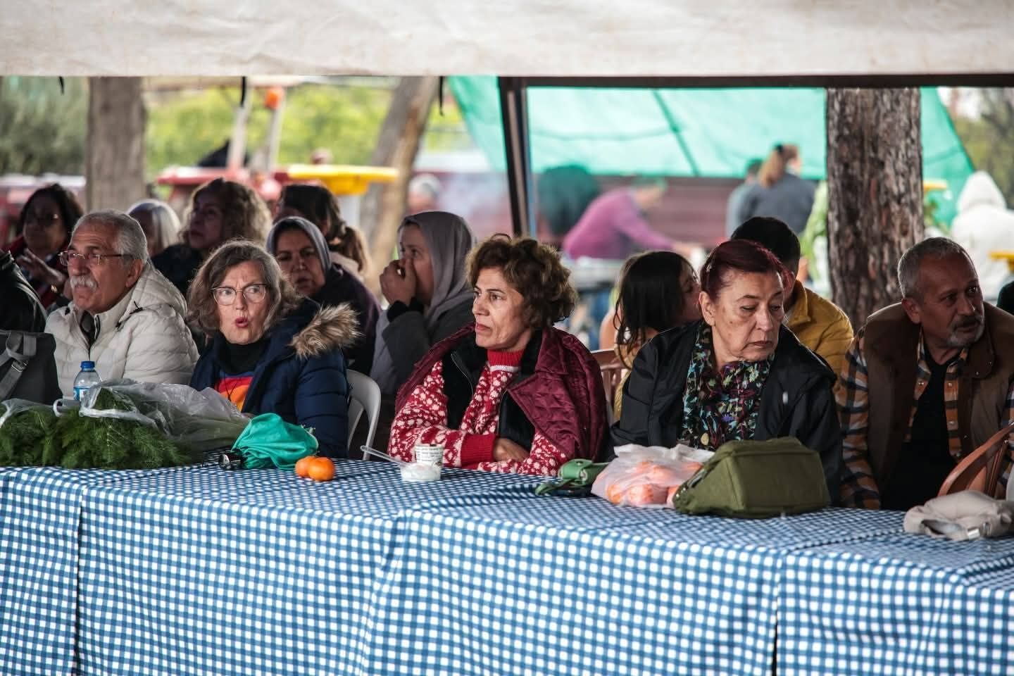 Erzin Ot Festivali (1)