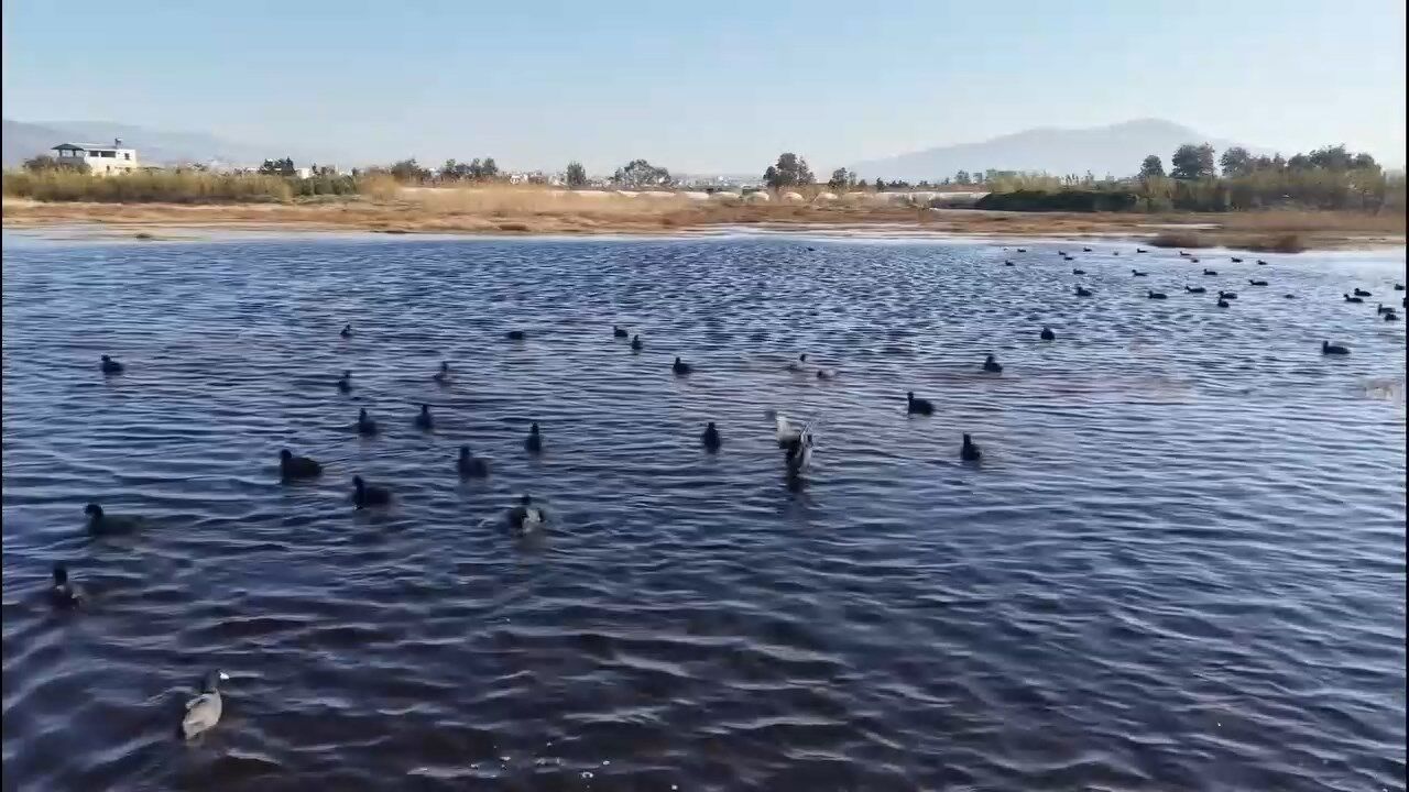 Meliha Sulak Alani (4)