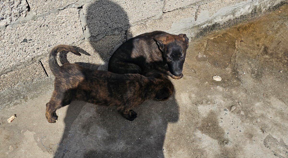 A04C84Fb Fd28 4D98 Becd 7C1Ed92F14B4