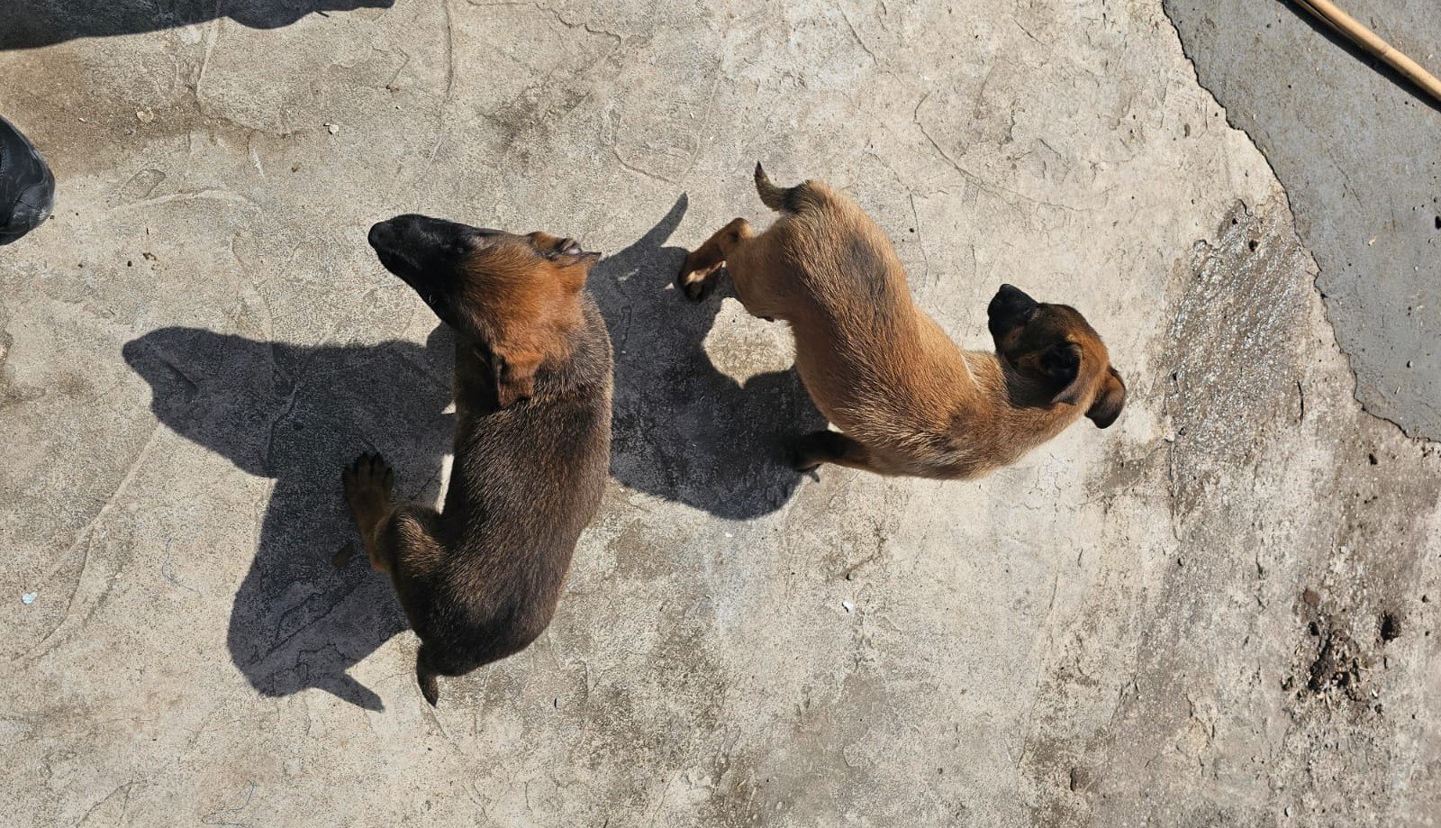 Ae749Be1 9411 415F B410 607Dc9A1F514