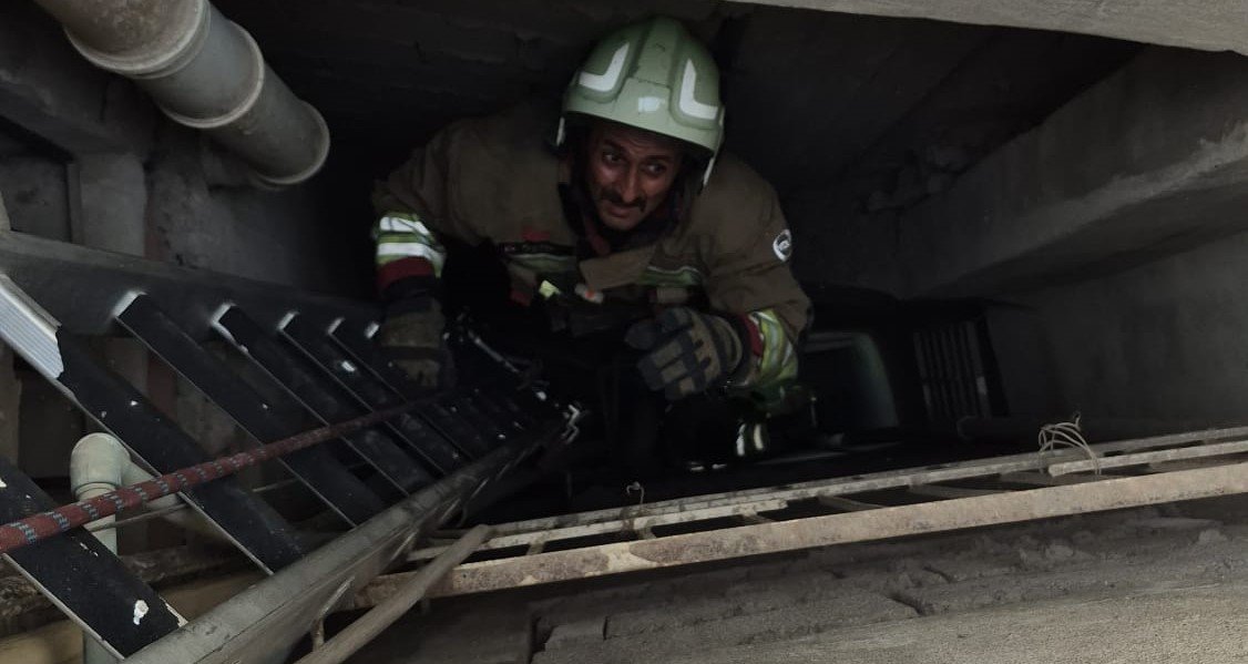 Ce37E7A2 93D1 40D4 A70F Bfa02E81D559