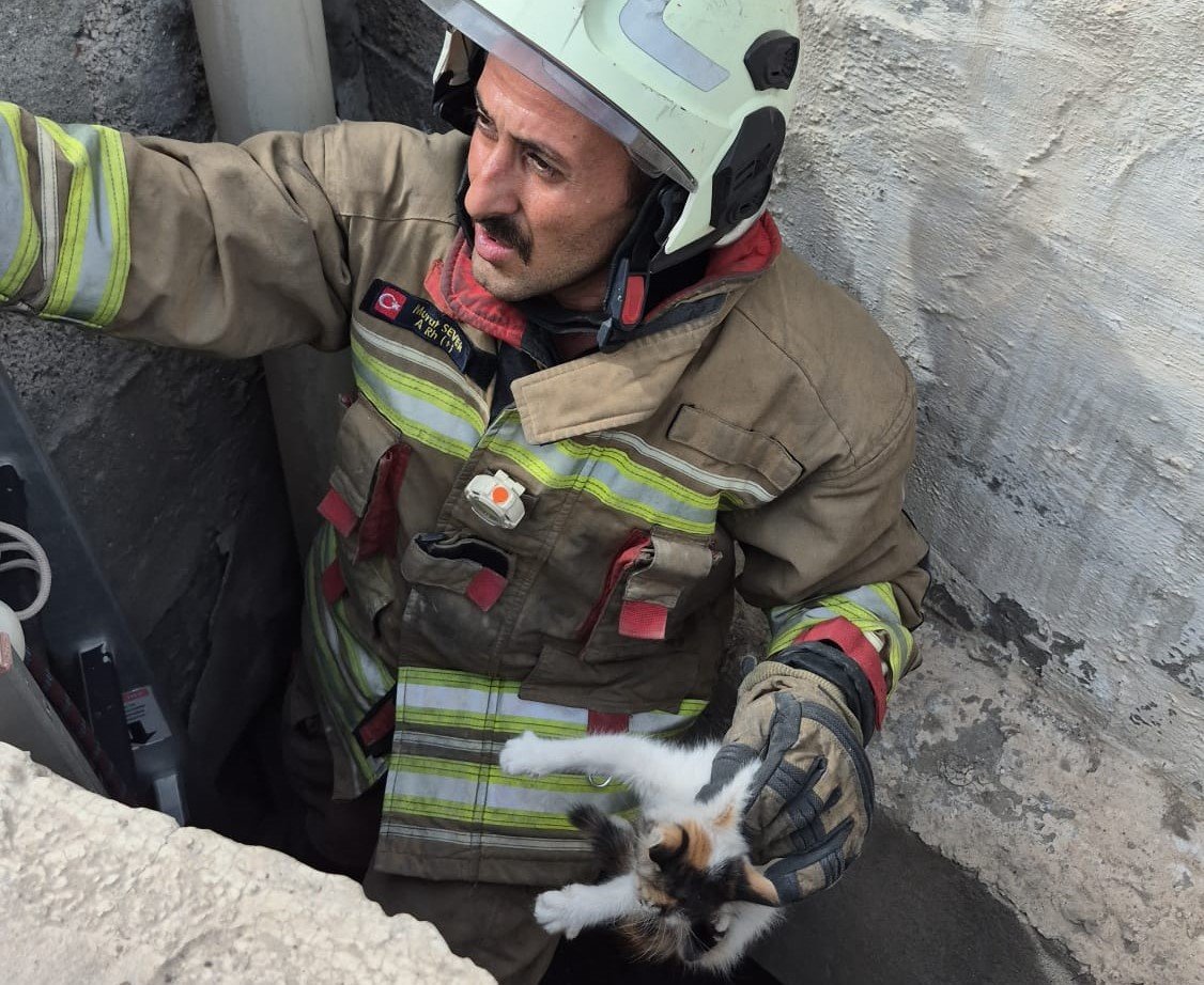 D7B5Ece8 A95A 401C A710 70417Fbe50C8