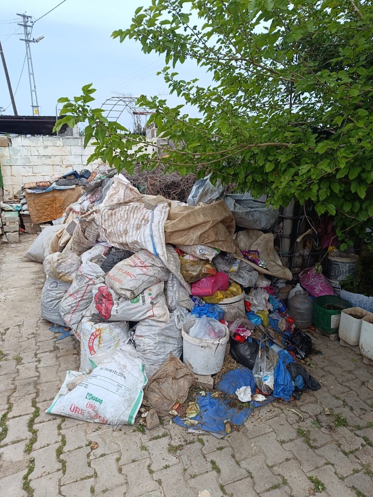 Evden Cop Cıktı (3)