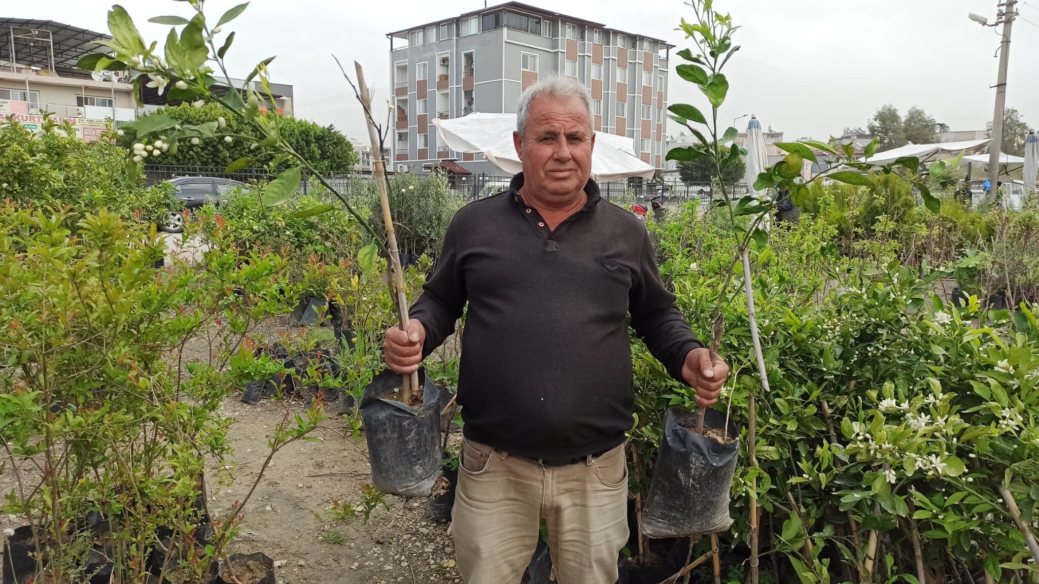 Fide Fidan Alim Satimi (3)