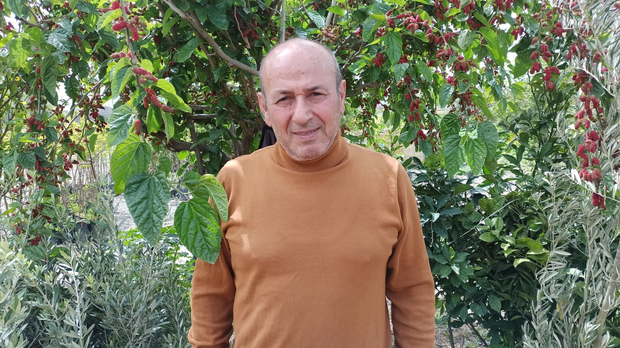 Fide Fidan Alim Satimi (4)