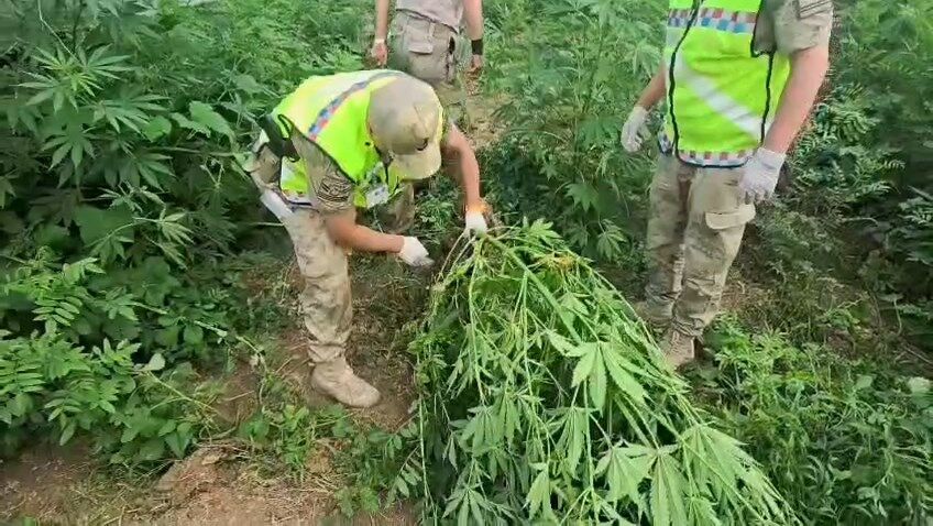 Whatsapp Video 2026 05 15 At 21.39.36.Mp4 Snapshot 00.00.087