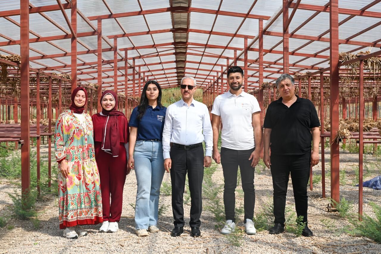 Hatay Sumbulu Ekonomiye (7)