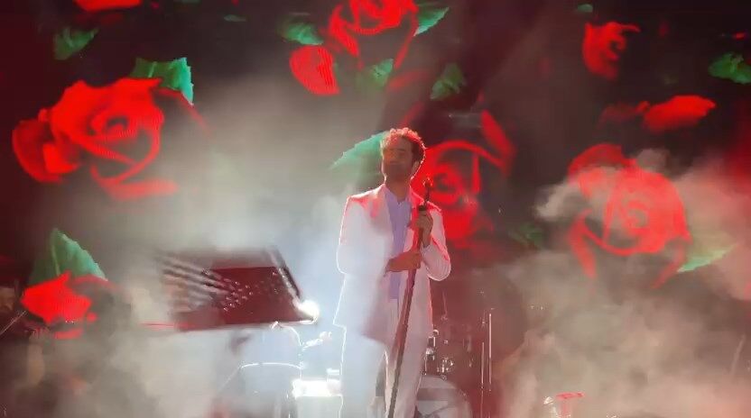 Cilgin Hayran (8)