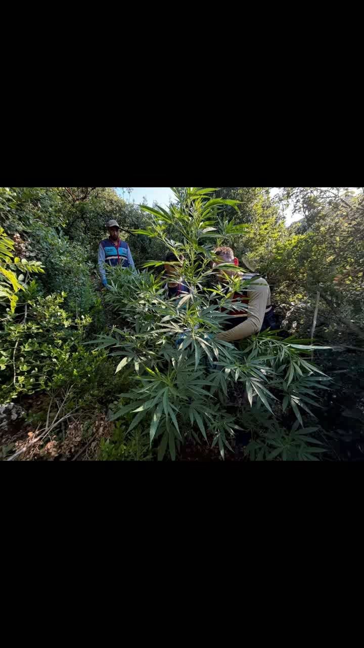 I M G 7283.Mp4 Snapshot 01.00.460