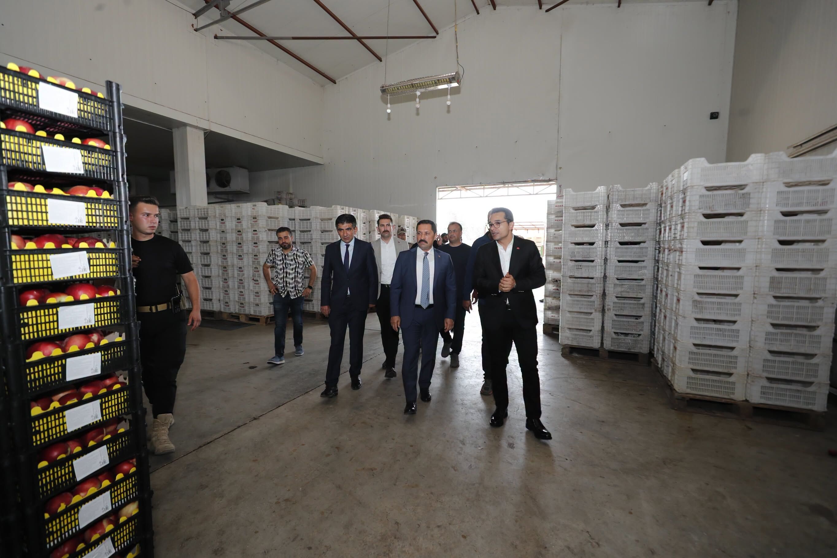 Ucak Kardesler (1)