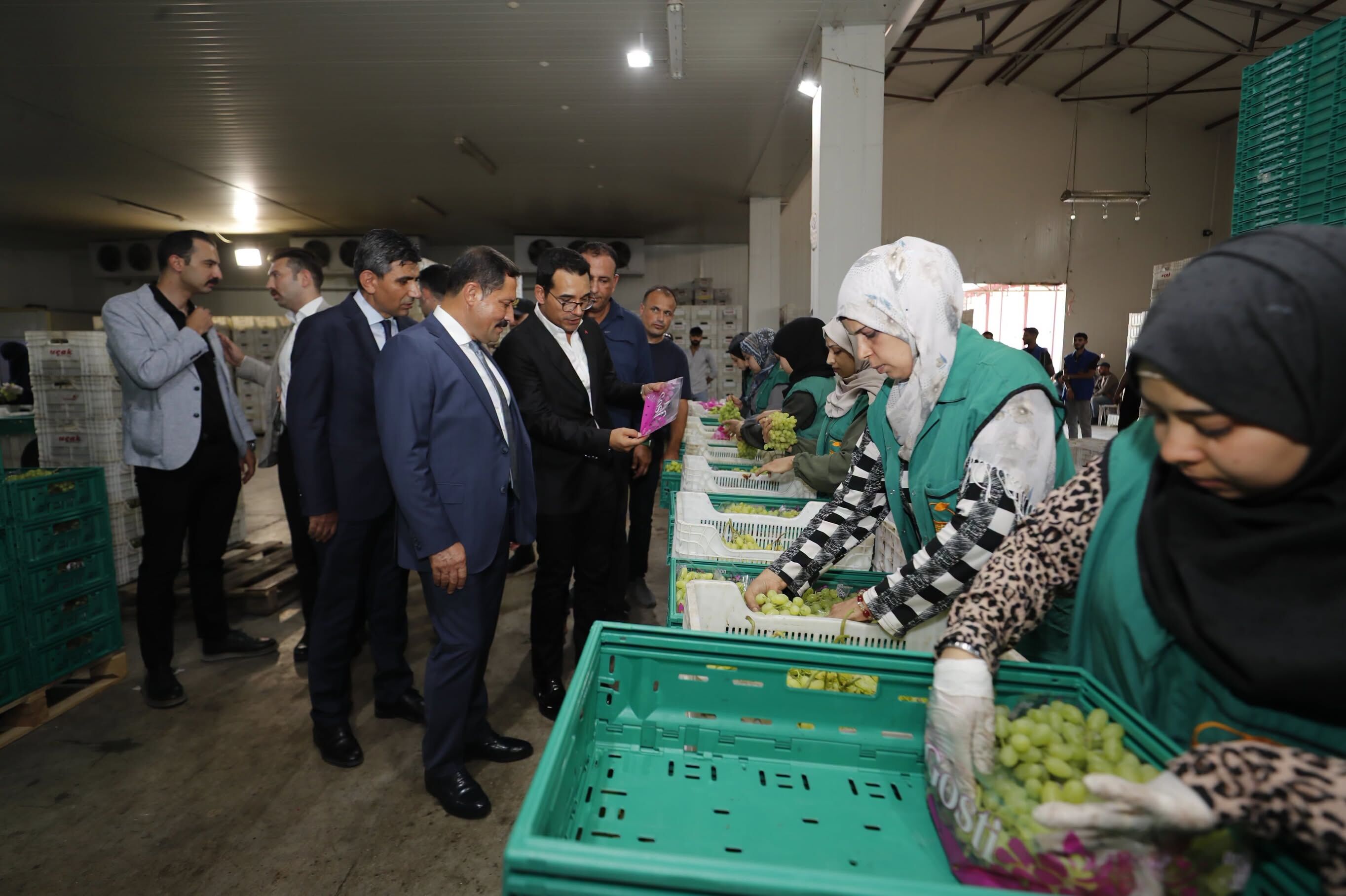 Ucak Kardesler (3)