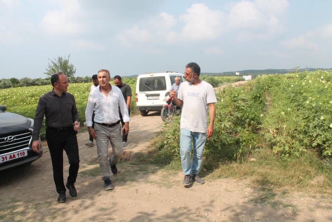 Akpinar Bamya Hasadi (1)