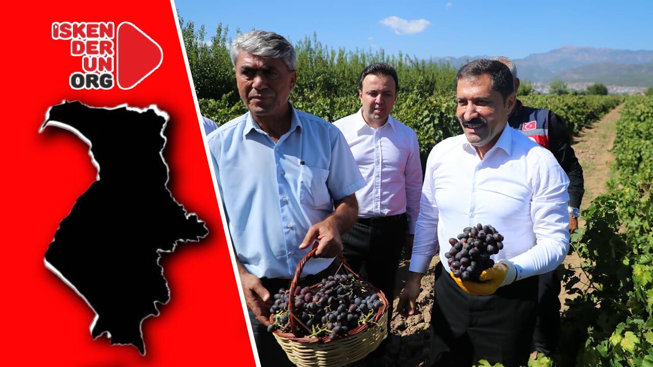 Vali Masatlı Üzüm Hasadını Başlattı